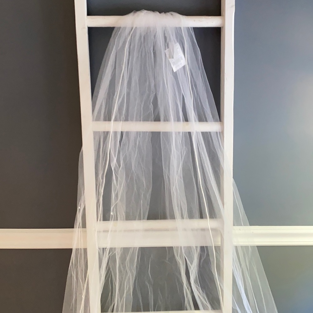 Cathedral length Wedding Veil